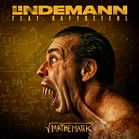 Lindemann, Haftbefehl – Mathematik
