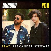 You (feat. Alexander Stewart)