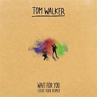 Tom Walker – Wait for You (Steve Void Remix)