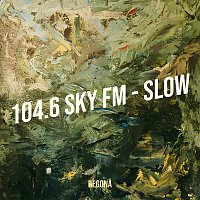 Přední strana obalu CD 104.6 Sky Fm [Slow]