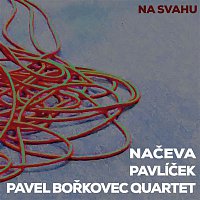 Naceva, Pavlicek, Pavel Borkovec Quartet – Na svahu CD