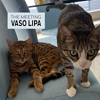 Vaso Lipa – The Meeting