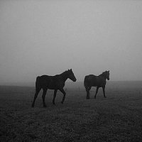 ynl glocc – Parking Lot Date