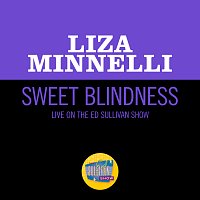 Liza Minnelli – Sweet Blindness [Live On The Ed Sullivan Show, December 8, 1968]