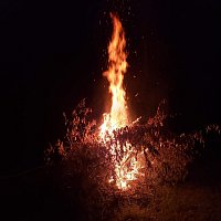 Přední strana obalu CD The Monster in the Case