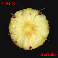 CMX – Aurinko [2012 Remaster]