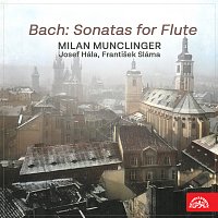Přední strana obalu CD Bachovy flétnové sonáty