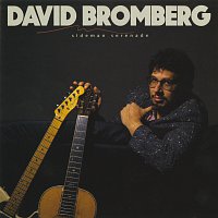David Bromberg – Sideman Serenade