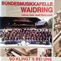 Bundesmusikkapelle Waidring – So klingt`s bei uns