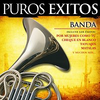 Puros Éxitos: Banda