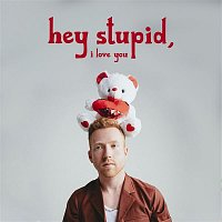 JP Saxe – Hey Stupid, I Love You