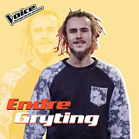Endre Gryting – Touch The Sky [Fra TV-Programmet "The Voice"]