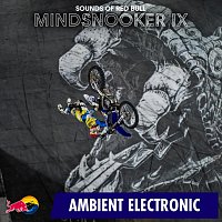 Přední strana obalu CD Mindsnooker IX