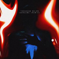 Přední strana obalu CD Gone2Me [Remix]