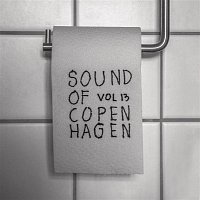 Various  Artists – Sound Of Copenhagen Vol. 13