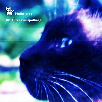 Přední strana obalu CD 6 в 1 (Шестиигровка)