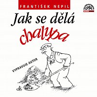 František Nepil – Nepil: Jak se dělá chalupa CD