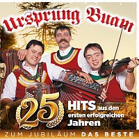 Přední strana obalu CD 25 Hits aus den ersten erfolgreichen Jahren - Zum Jubiläum das Beste