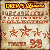 Přední strana obalu CD Drew's Famous Instrumental Country Collection [Vol. 29]