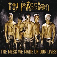 My Passion – The Mess We Made Of Our Lives