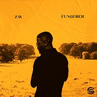 Zay – Fungerer