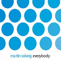 Martin Solveig – Everybody