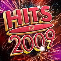 Různí interpreti – Hits Of 2009