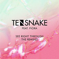 Tensnake, Fiora – See Right Through [Remixes]