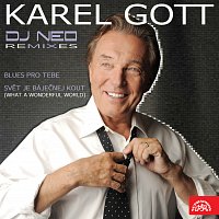 Karel Gott – Karel Gott vs. DJ Neo Remixes (EP) MP3