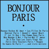 Různí interpreti – Bonjour Paris