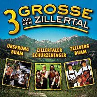 Přední strana obalu CD 3 Grosse aus dem Zillertal, Folge 1