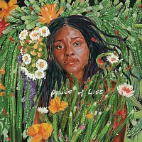 Joy Oladokun – Taking Things For Granted