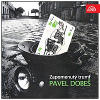 Pavel Dobeš – Zapomenutý trumf MP3