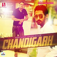 Harry Sandhu, Rishabh Saab – Chandigarh