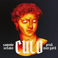 Přední strana obalu CD Culo