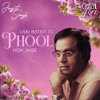 Jagjit Singh, Sachin Gupta – Uski Baten To Phool Hon Jaise [Ghazal Lofi]