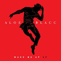 Aloe Blacc – Wake Me Up