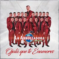 La Arrolladora Banda El Limón De René Camacho – Ojalá Que Te Enamores