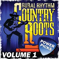 Různí interpreti – Country Roots Power Picks [Vol. 1]
