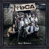 YBCA – Brno Robstars