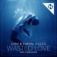 Lush & Simon, Gazzo, Robbie Rosen – Wasted Love