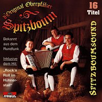 d'Original Oberpfalzer Spitzboum – Spitzboumsound