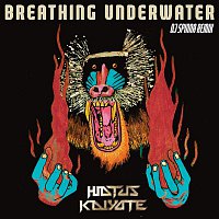 Hiatus Kaiyote – Breathing Underwater (DJ Spinna Galactic Soul Remix)