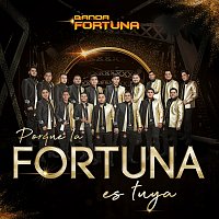 Banda Fortuna – Porque La Fortuna Es Tuya