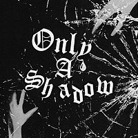 White Reaper – Only a Shadow