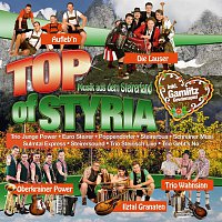 Různí interpreti – Top of Styria