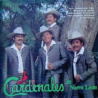 Cardenales De Nuevo León – Y Qué Más Da