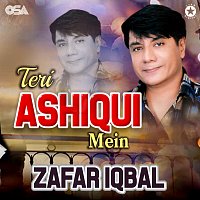 Zafar Iqbal – Teri Ashiqui Mein