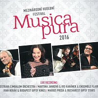 Různí interpreti – Musica pura 2016