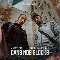 MALTY 2BZ, Fresh laDouille – Dans Nos Blocks